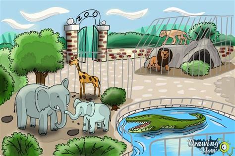 zoo ka drawing